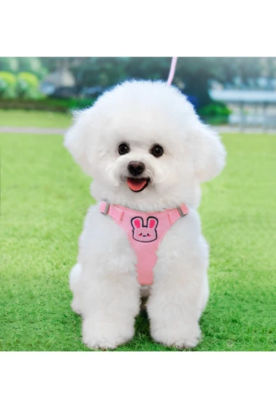 CAZEO Çizgi Karakterli Pet Göğüs Tasması & Kayış | M - L Beden | Mix Renk - Resim 2