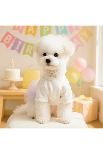 CAZEO Köpek Elbisesi Doğum Günü – It’s My Birthday Yazılı - Renkli Tül Etekli - Parti Kıyafeti - Resim 4