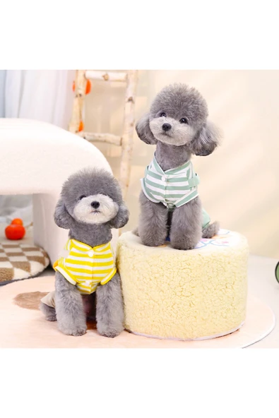 CAZEO Köpek Tulum - Havuç Desenli – Çizgili Tişört Görünümlü - Resim 4