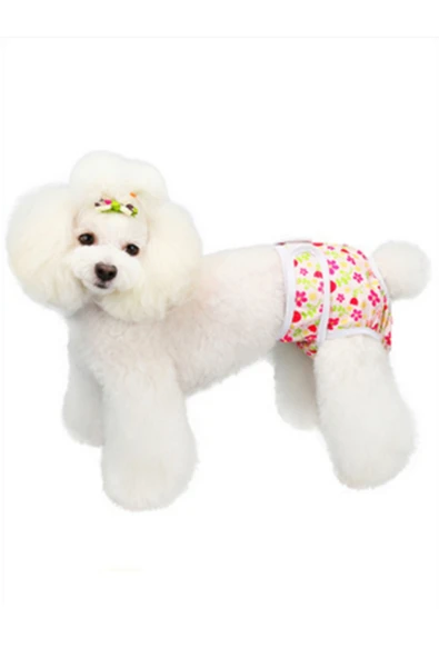 CAZEO Köpek Regl Külotu – Yıkanabilir - Sızdırmaz - Çiçek Desenli - Hijyenik ve Rahat - Resim 4