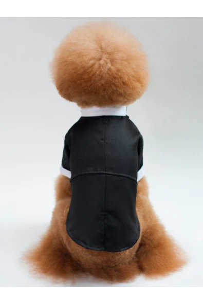 CAZEO Köpek Smokin Kıyafeti – Siyah - Özel Gün, Parti ve Düğün İçin Şık Elbise - Resim 4