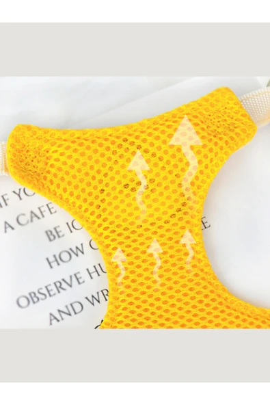 CAZEO Çizgi Karakterli Pet Göğüs Tasması & Kayış | M - L Beden | Mix Renk - Resim 6