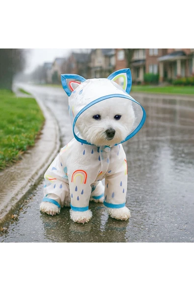 CAZEO Köpek Yağmurluğu – Şeffaf Görünümlü - Kapüşonlu - Kenarları Mavi Şeritli - Su Geçirmez - Resim 2