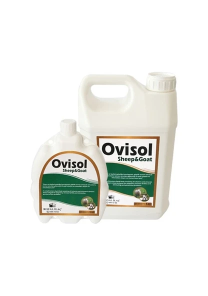 Royal İlaç Ovisol Sheep&goat Koyun ve Keçi Yem Katkısı 5 Lt - Resim 2