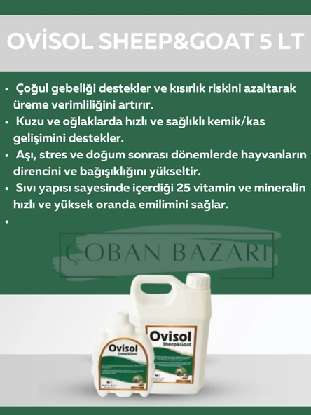 Royal İlaç Ovisol Sheep&goat Koyun ve Keçi Yem Katkısı 5 Lt ürün görseli