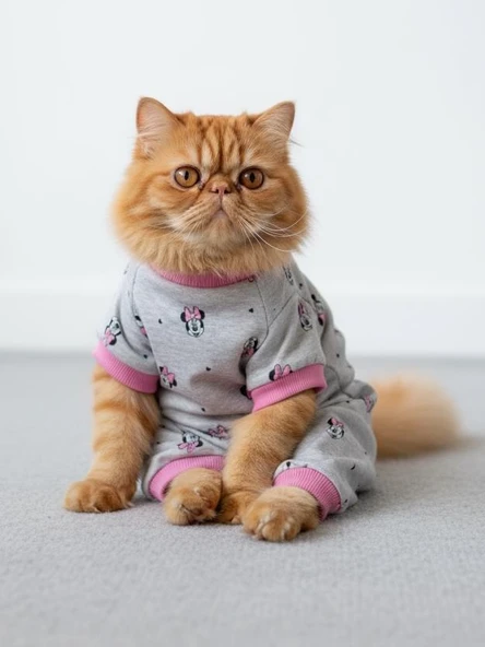 Pink Minnie Kedi Tulumu | Pamuklu Penye Kedi Kıyafeti | Küçük Irklar İçin | Tüy Dökülmesini Azaltır ürün görseli 1