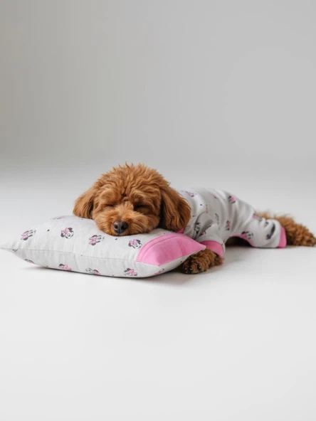 Minnie Pembe Köpek Uyku Takımı | Pamuklu Penye Köpek Tulumu ve Mini Yastık | Küçük Irklar İçin | Tüy Dökülmesini Azaltır - Resim 7