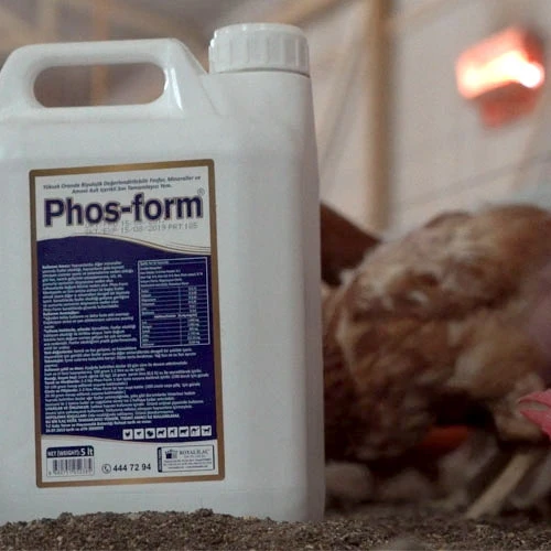 Royal  Phos Form  Kanatlılarda Gagalama, Amino Asit Desteği ile Gelişim 5 lt - Resim 3