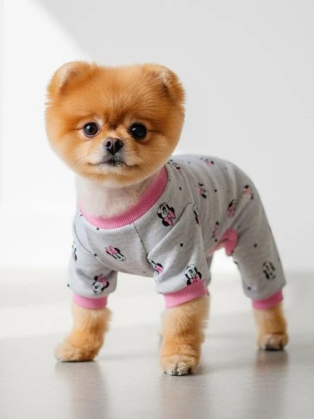 Minnie Pembe Köpek Uyku Takımı | Pamuklu Penye Köpek Tulumu ve Mini Yastık | Küçük Irklar İçin | Tüy Dökülmesini Azaltır - Resim 5