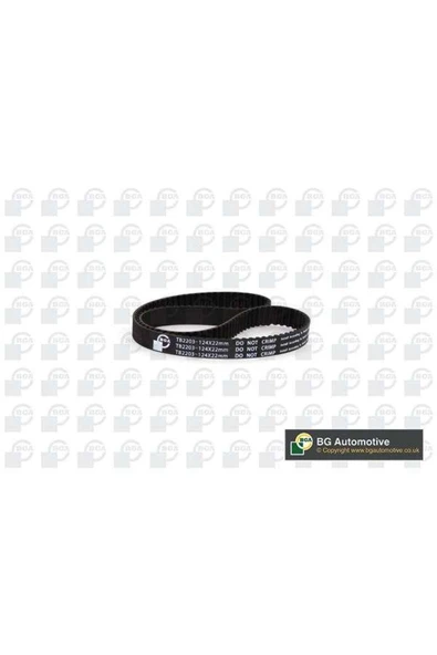 EKSANTRIK RULMAN KITI TRIGER SETI ALBEA BRAVA BRAVO DOBLO PUNTO IDEA MAREA PALIO SIENA S-BGA TB2203K ürün görseli 1