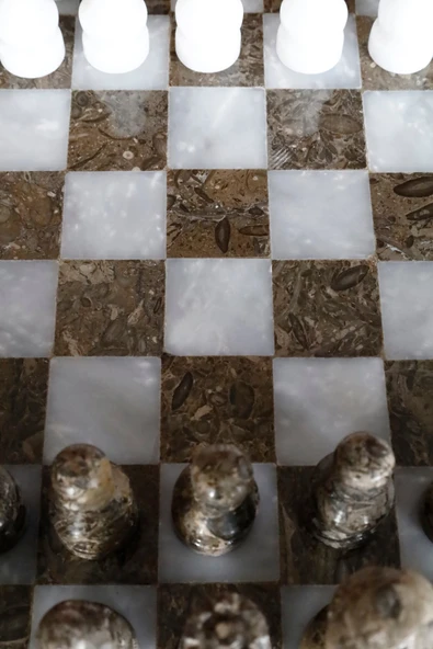 taru pasaj Fosilli ve Beyaz Doğal Taştan Özel Satranç Takımı – Şık ve Doğal Tasarım - Resim 5