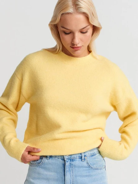 10640 DİLVİN BİSİKLET YAKA YUMUŞAK DOKULU TRİKO KAZAK - Resim 7