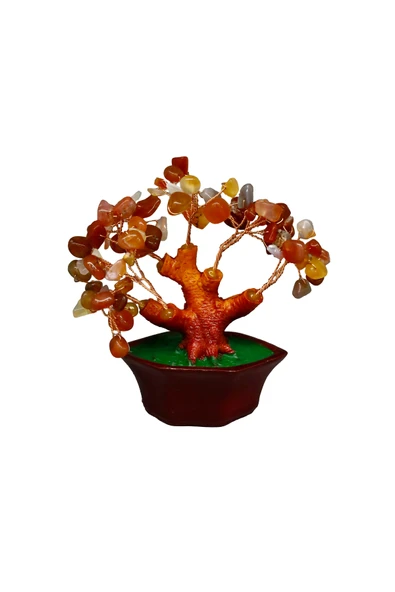 taru pasaj Karnelyan Doğal Taşlı Bonsai Hayat Ağacı – Enerji, Tutku ve Motivasyon Kaynağı! ürün görseli