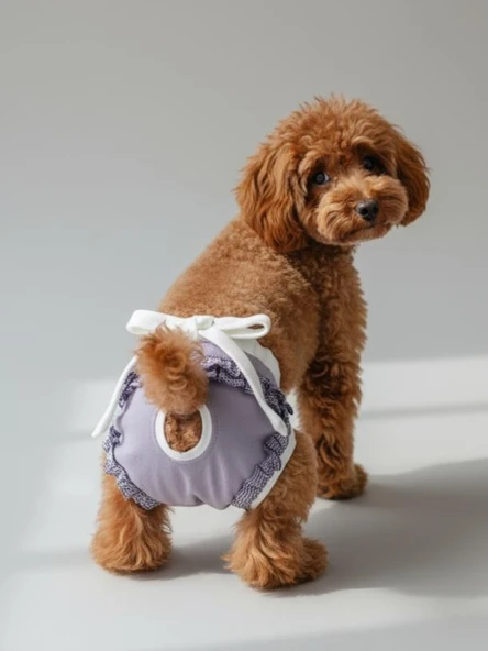 Princess Lila Dişi Köpek Regl Külotu | Köpek Donu | Köpek İç Çamaşırı | Ayarlanabilir Bağcıklı | Küçük Irklar İçin - Resim 5