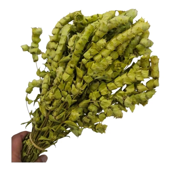 Anamur Adaçayı Demet (150 gr/35-40 Adet) - Resim 5