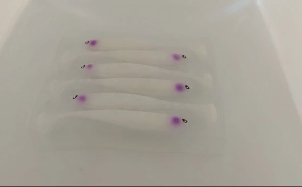 LUCKY JOHN BASARA SOFT SWİM 3.5''140403-TR007 SİLİKON YEM ürün görseli