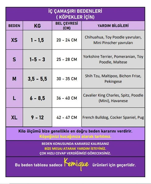 Princess Lila Dişi Köpek Regl Külotu | Köpek Donu | Köpek İç Çamaşırı | Ayarlanabilir Bağcıklı | Küçük Irklar İçin - Resim 3