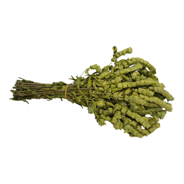 Anamur Adaçayı Demet (150 gr/35-40 Adet) - Resim 4