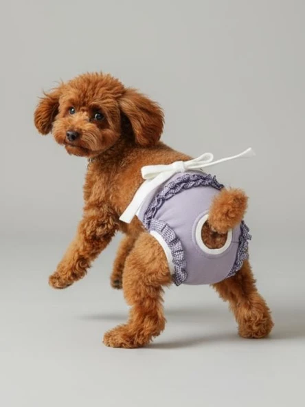 Princess Lila Dişi Köpek Regl Külotu | Köpek Donu | Köpek İç Çamaşırı | Ayarlanabilir Bağcıklı | Küçük Irklar İçin - Resim 6