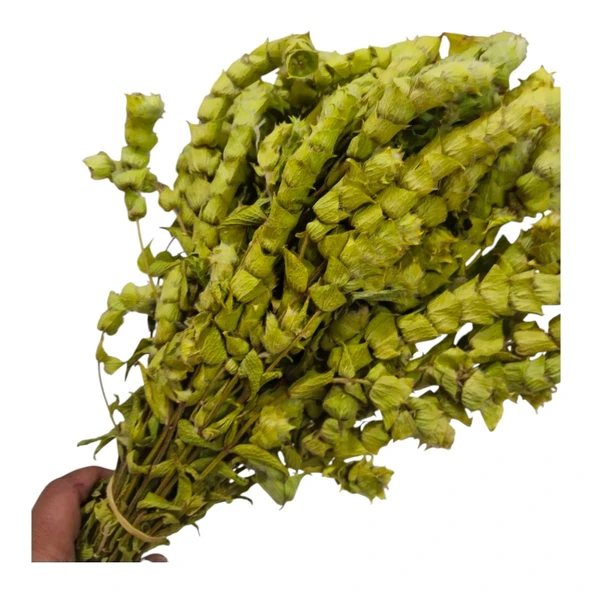 Anamur Adaçayı Demet (150 gr/35-40 Adet) - Resim 2