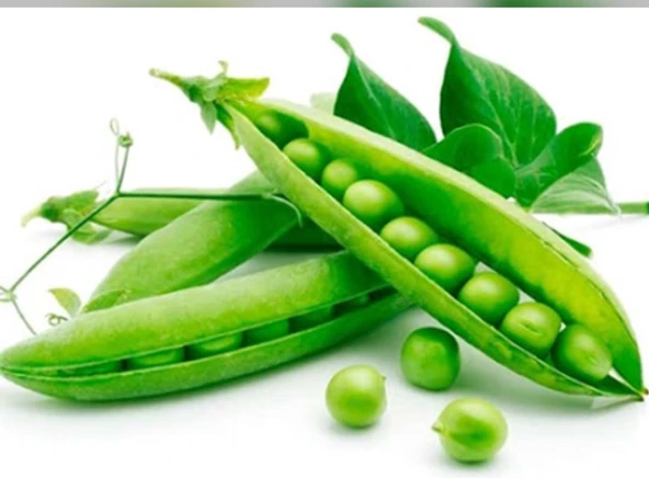 Yerli İri Tane Bezelye Tohumu (İlaçlı) 500 Gr ürün görseli 1