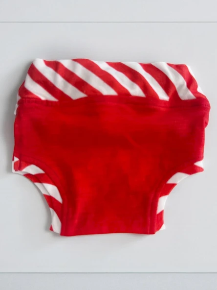 Red Frilly Dişi Köpek Regl Külotu | Köpek Donu | Köpek İç Çamaşırı | Ayarlanabilir Bağcıklı | Küçük Irklar İçin - Resim 6