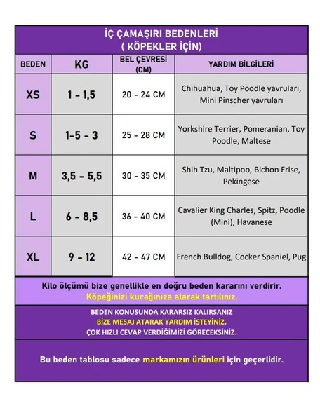 Red Frilly Dişi Köpek Regl Külotu | Köpek Donu | Köpek İç Çamaşırı | Ayarlanabilir Bağcıklı | Küçük Irklar İçin - Resim 3