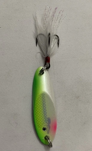 CAPTAIN XPREİA  FLASH 6016 GRAM GRAM:18 COLOR:34  KESME OLTA KAŞIĞI ürün görseli