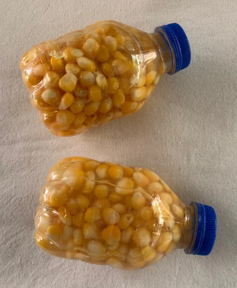 Captain Şişede Doğal Süt Mısır (Yemleme Için) - Resim 2