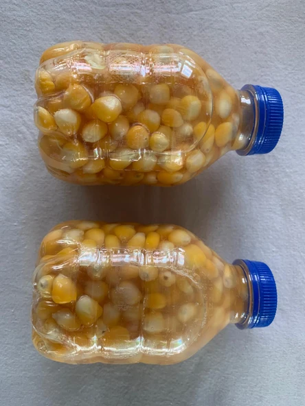 Captain Şişede Doğal Süt Mısır (Yemleme Için) - Resim 3