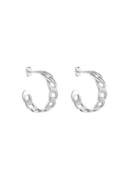 Daniel Klein Orijinal Kadın Çelik Küpe DKJ.3.30011-1 ürün görseli