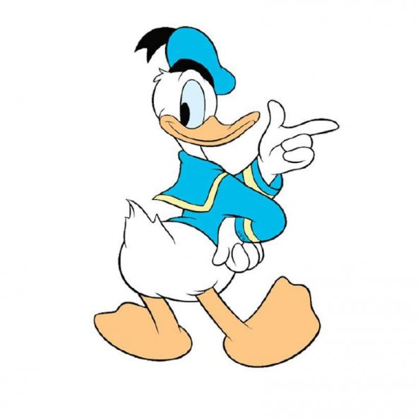 Woodylife Donald Duck Ahşap Dolap-Duvar Figürü-60 cm Çocuk Odası Anaokulu Dekor