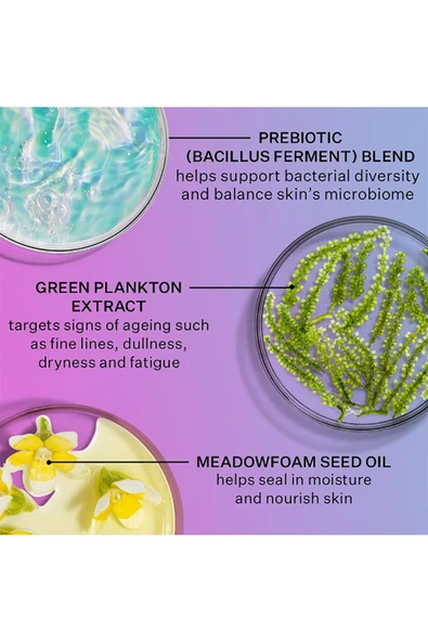 StriVectin Multi-Action Super-B Çok Yönlü Bariyer Güçlendirici Yüz Yağı 30ML - Resim 5