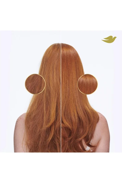 Dove Damage Therapy Günlük Nemlendirici Şampuan 828ML - Resim 5