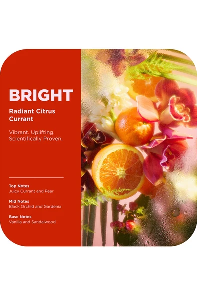 Olly Bright Mood + Skin Duş Jeli 502ML - Resim 5