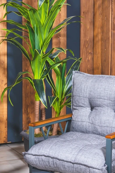 UFUK HOME Miray 211 Masalı Gri Fermuarlı Bahçe Balkon Takımı, Salon, Teras- Berjer Düğmeli Metal Çay Seti - Resim 4