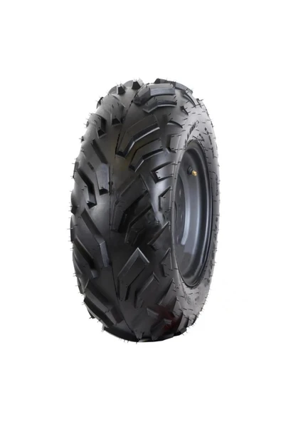 Swallow atv lastiği 22 X 10 - 10 TL DUBLEKS ürün görseli