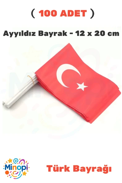 ( 100 Adet ) Vatan Küçük Boy Çıtalı Kağıt Türk Bayrağı Ay Yıldız Bayrak 12 x 20 cm ürün görseli
