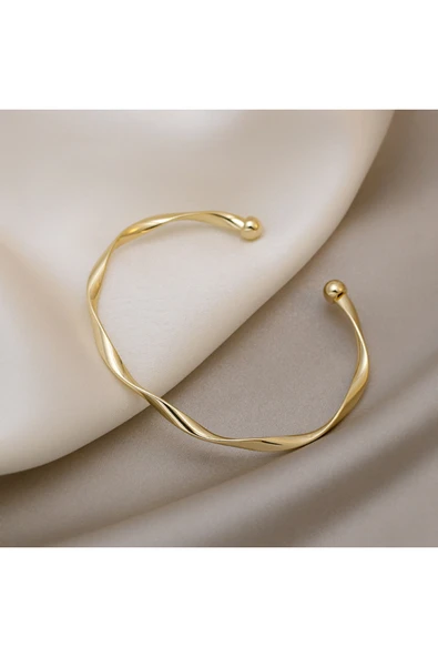 Açık Altın Renk Paslanmaz Çelik Burgu Bilezik Kadın  Modern Minimal Takı  Suya Dayanıklı ürün görseli