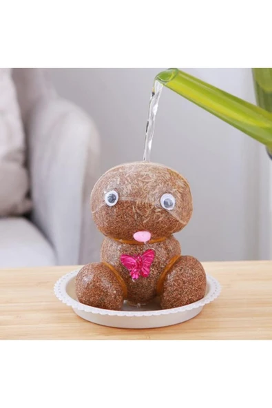 3 Paket Çim Adam Yapım Seti Okul Eğitici Deney Seti Çim Adam Seti - Resim 3