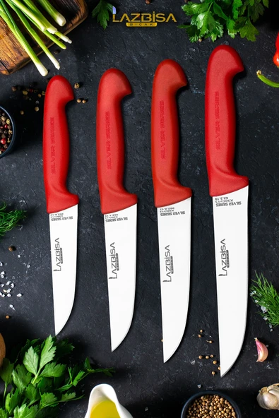 Silver Serisi Mutfak Bıçak Seti Et Ekmek Sebze Meyve Bıçağı 4 Lü Set HDS-79 ürün görseli 1