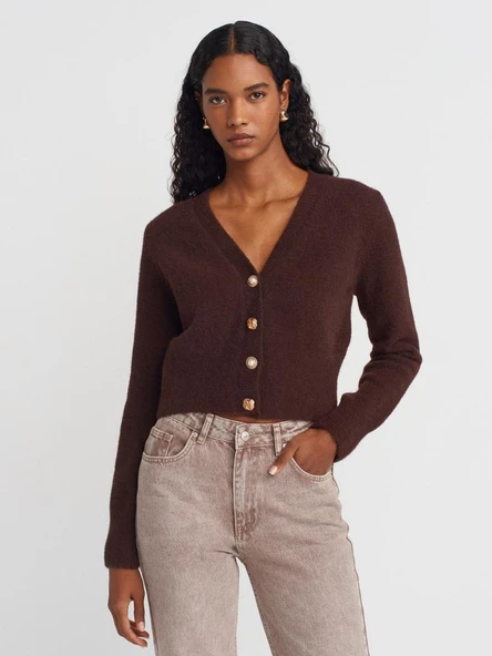 60273 DİLVİN V YAKA DÜĞMELİ TRİKO HIRKA ürün görseli