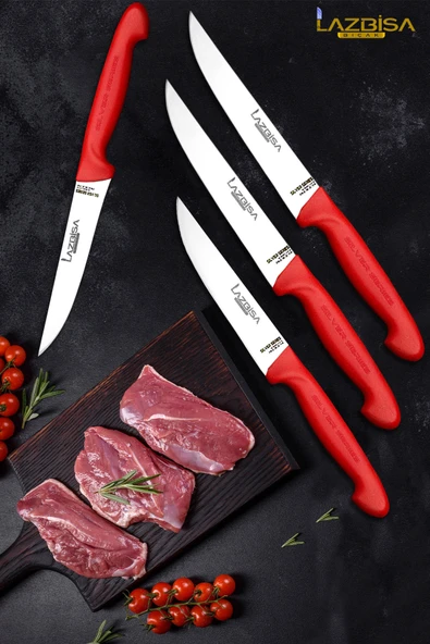 Silver Serisi Mutfak Bıçak Seti Et Ekmek Sebze Meyve Bıçağı 4 Lü Set Günlük Kullanım HDS-83 ürün görseli 1