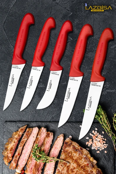 Silver Serisi Mutfak Bıçak Seti Yüzme Sıyırma Kasap Et Ekmek Sebze Meyve Bıçağı 5 Li Set HDS-80 ürün görseli 1