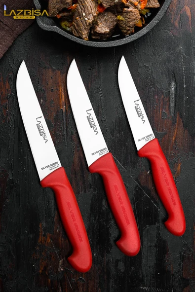 Silver Serisi Mutfak Bıçak Seti Et Ekmek Sebze Bıçağı 3 Lü Set HDS-77 ürün görseli 1