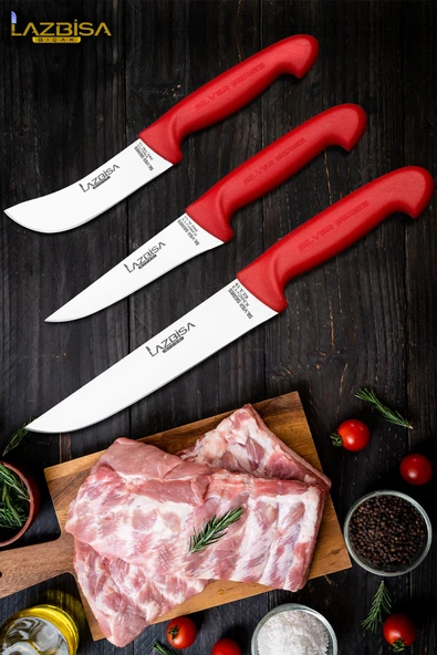 Silver Serisi Mutfak Bıçak Seti Yüzme Sıyırma Kasap Et Ekmek Sebze Bıçağı 3 Lü Set HDS-76 ürün görseli 1