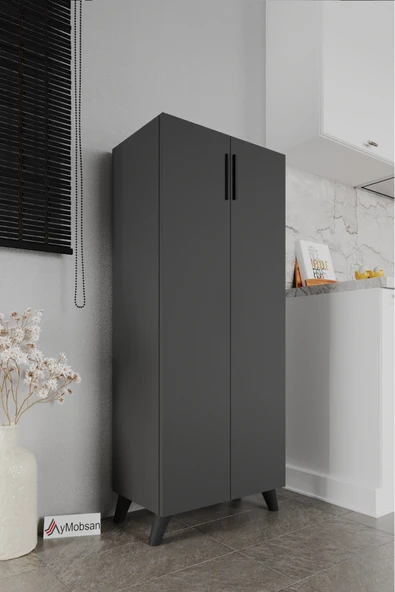 Kayra 2 Kapaklı 5 Raflı Boy Dolabı Çok Amaçlı Dolap Kiler Dolabı Mutfak Dolabı, Antrasit - Resim 3