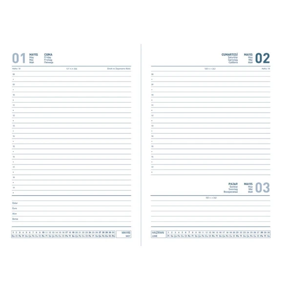 Gıpta 2026 14x20 336 Sayfa Ciltli Günlük Ajanda 100-ECK - Resim 4