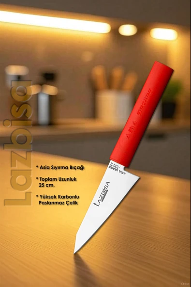 Asia Serisi Uzakdoğu Mutfak Şef Bıçak Seti Et Ekmek Sebze Salata Şef Bıçağı 2 Li Set HDS-26 - Resim 3