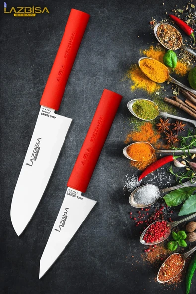 Asia Serisi Uzakdoğu Mutfak Şef Bıçak Seti Et Ekmek Sebze Salata Şef Bıçağı 2 Li Set HDS-26 ürün görseli 1